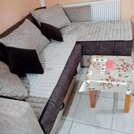 Milica Apartmani Vrdnik Zewnętrze zdjęcie