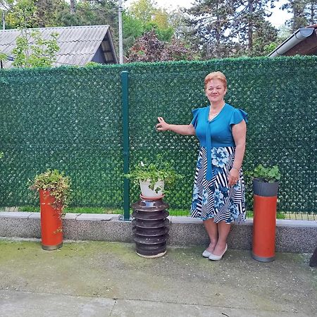 Milica Apartmani Vrdnik Zewnętrze zdjęcie