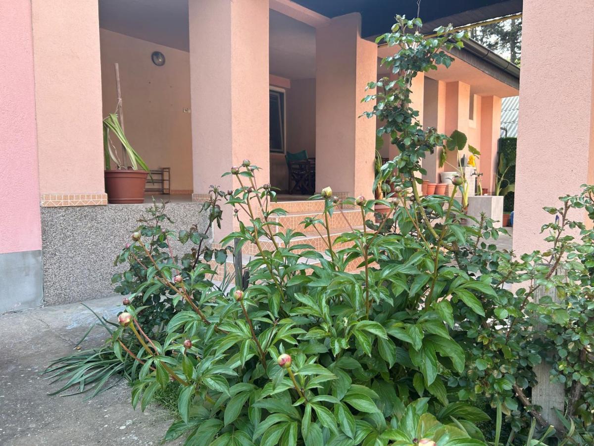 Milica Apartmani Vrdnik Zewnętrze zdjęcie