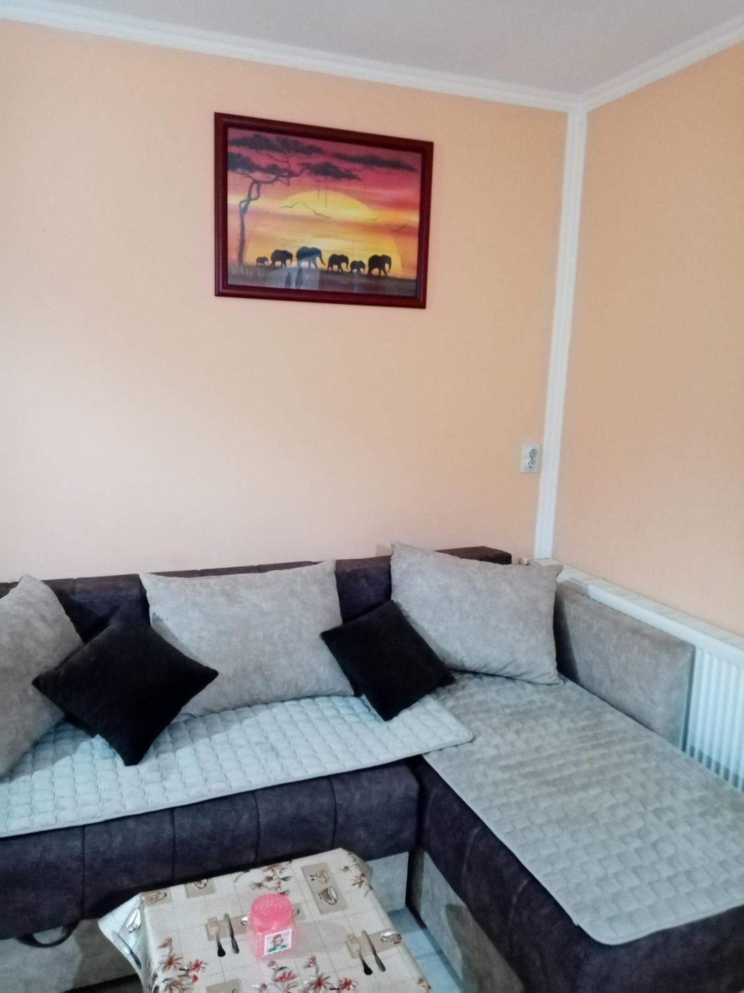 Milica Apartmani Vrdnik Zewnętrze zdjęcie