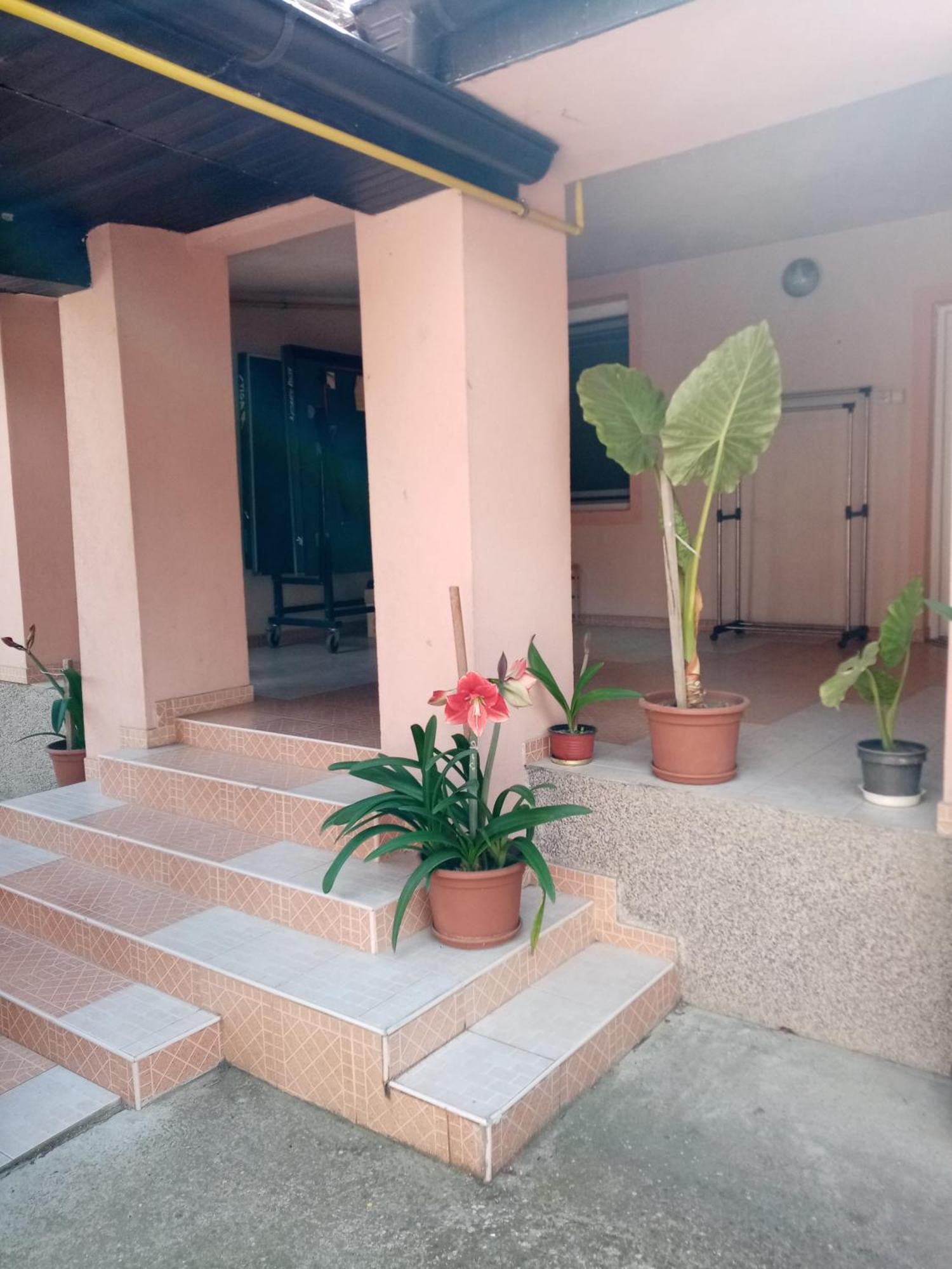 Milica Apartmani Vrdnik Zewnętrze zdjęcie