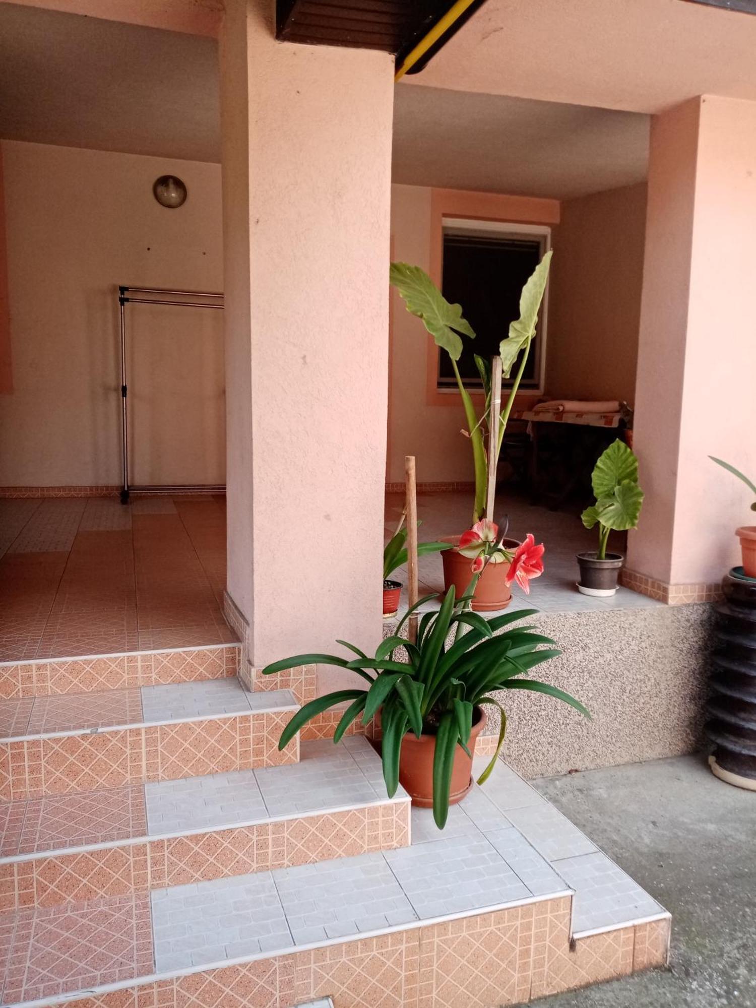 Milica Apartmani Vrdnik Zewnętrze zdjęcie