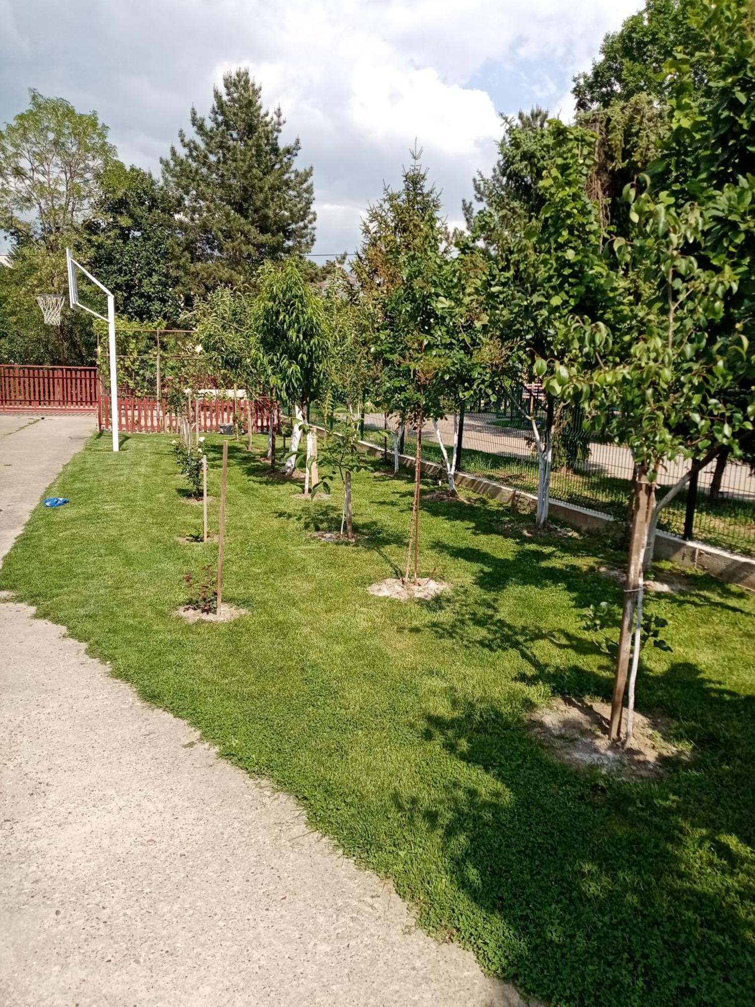 Milica Apartmani Vrdnik Zewnętrze zdjęcie