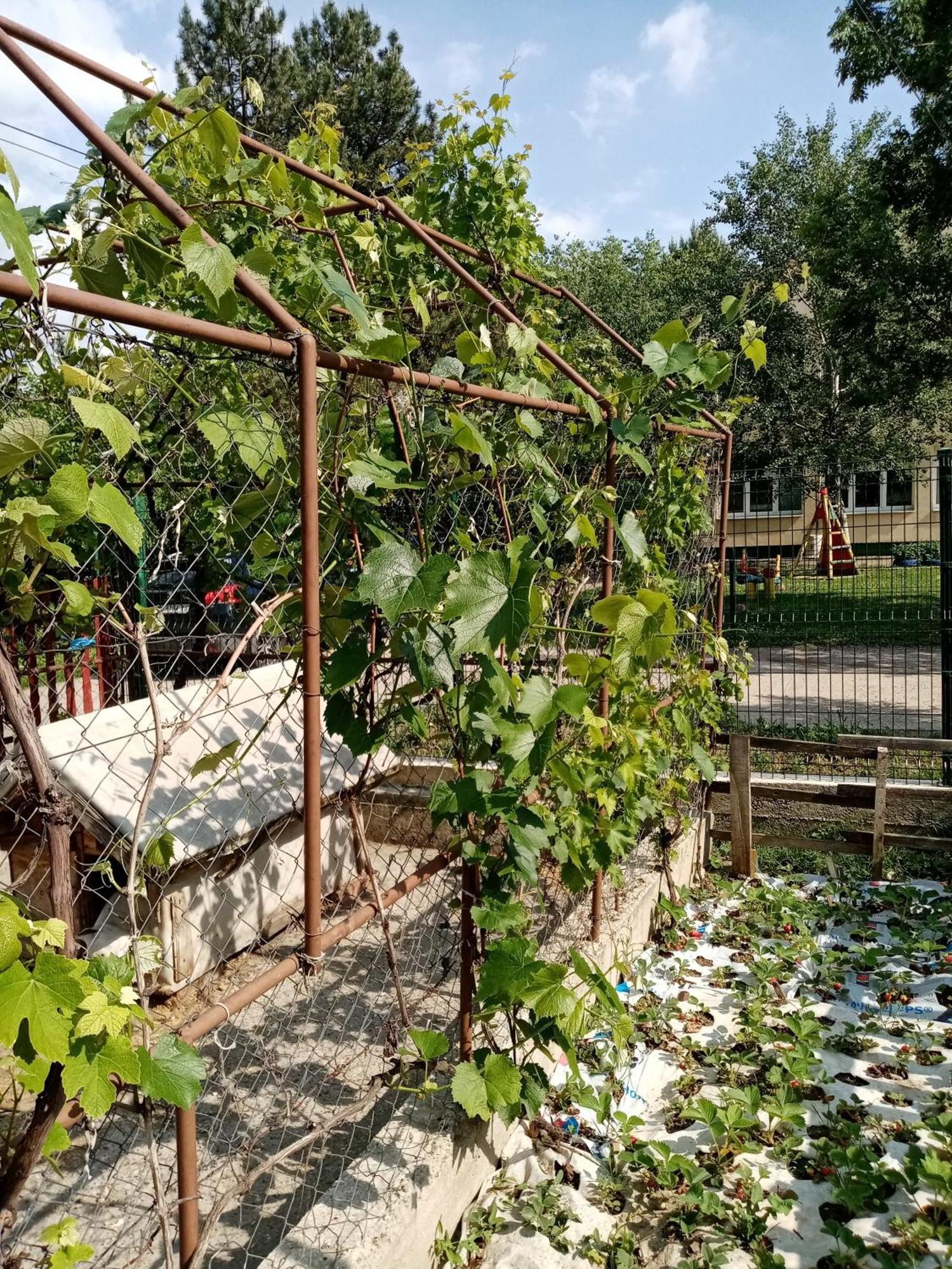 Milica Apartmani Vrdnik Zewnętrze zdjęcie