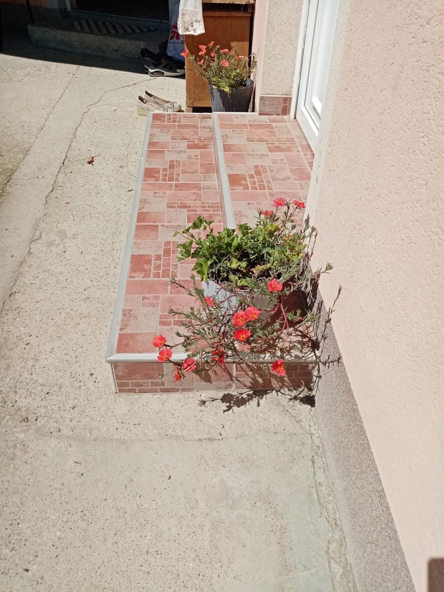 Milica Apartmani Vrdnik Zewnętrze zdjęcie
