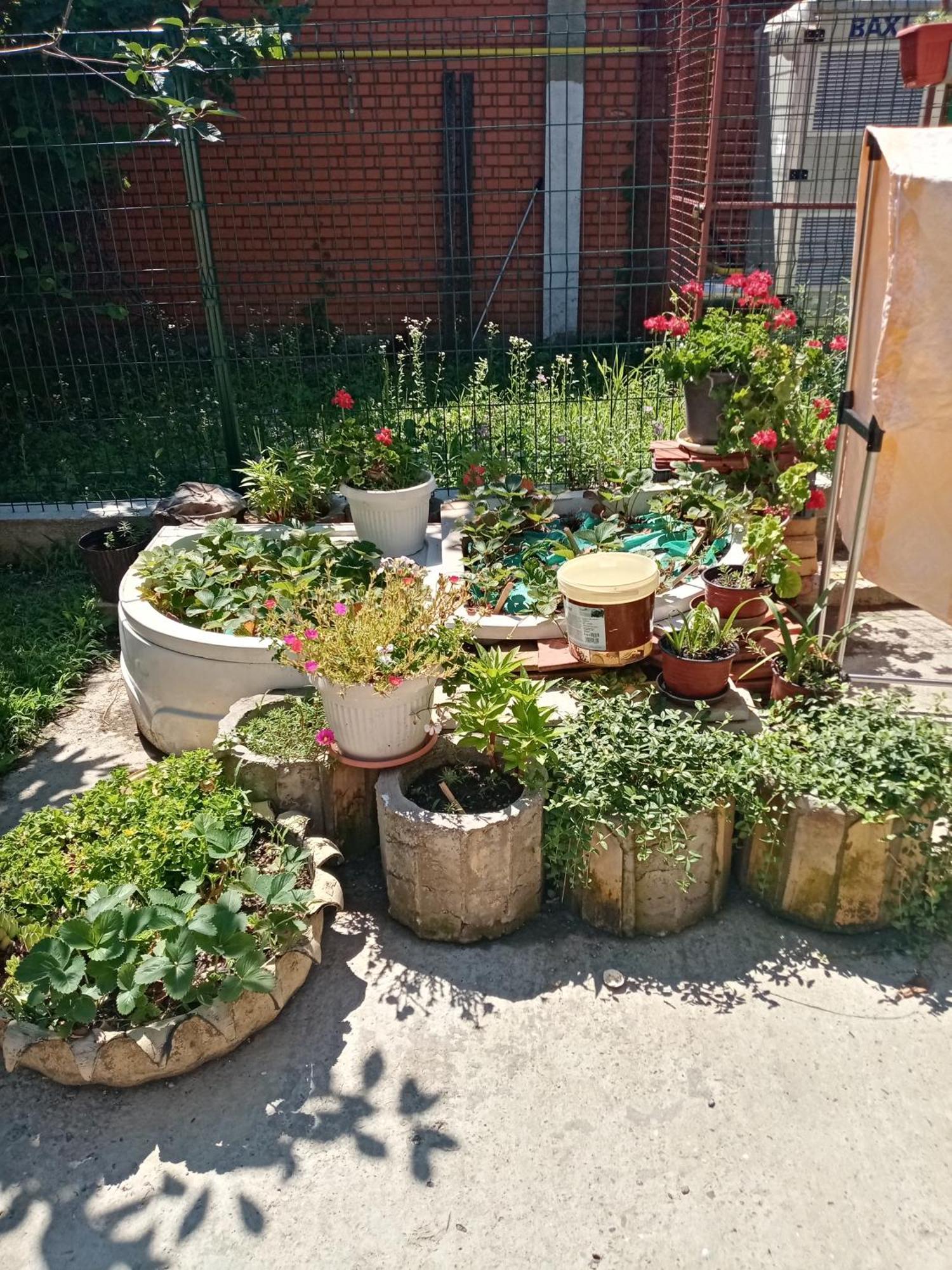 Milica Apartmani Vrdnik Zewnętrze zdjęcie