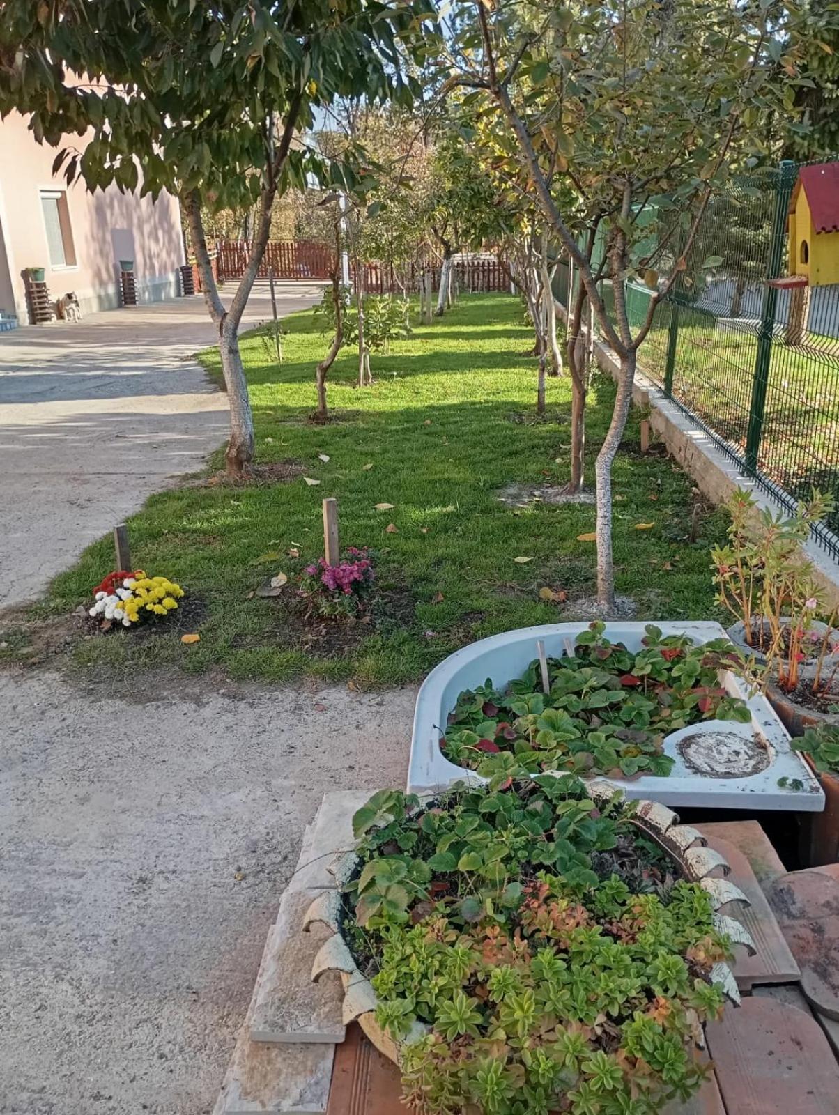 Milica Apartmani Vrdnik Zewnętrze zdjęcie