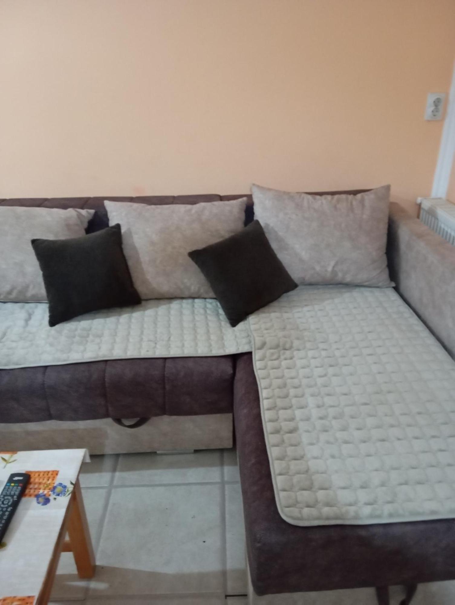 Milica Apartmani Vrdnik Zewnętrze zdjęcie