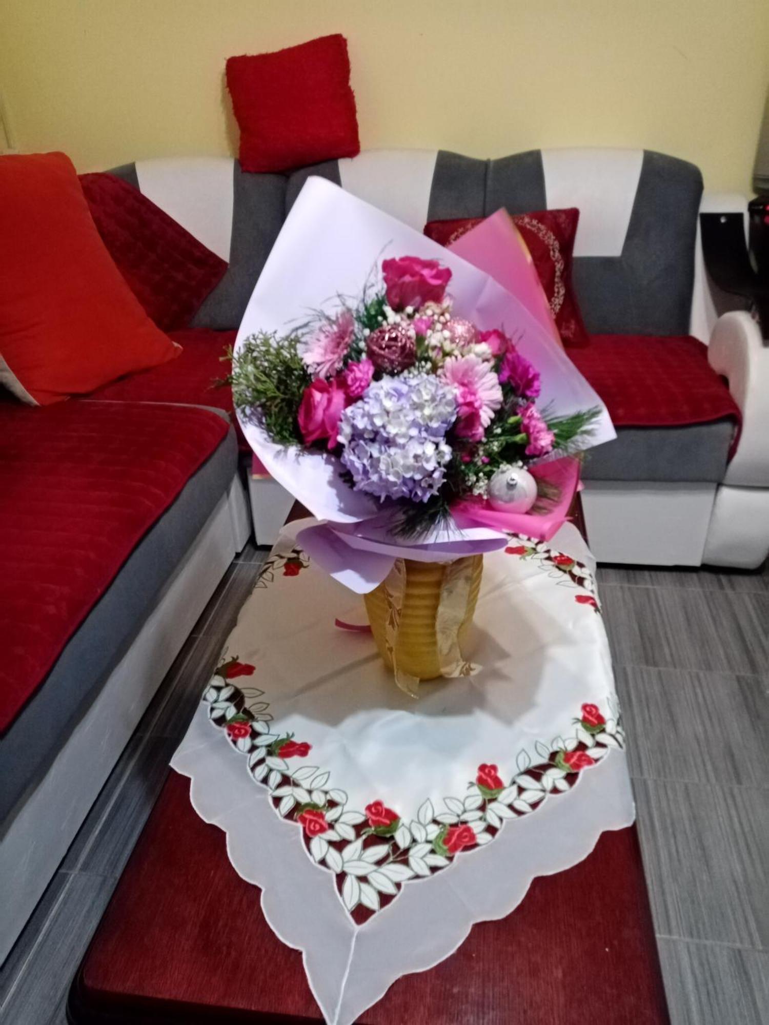 Milica Apartmani Vrdnik Zewnętrze zdjęcie