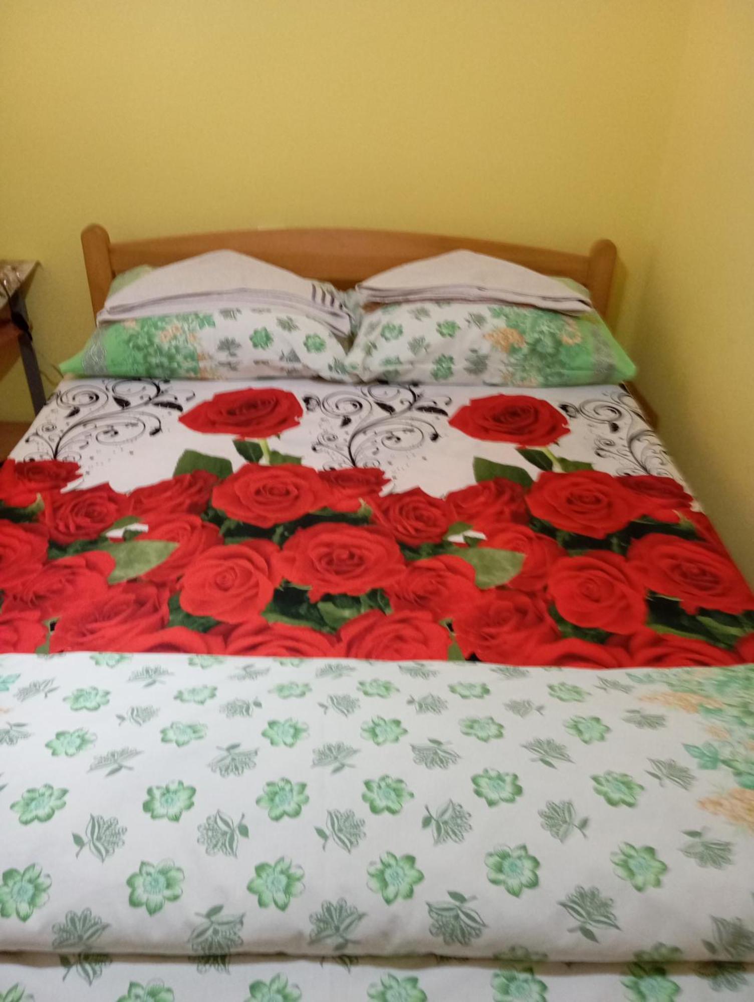 Milica Apartmani Vrdnik Zewnętrze zdjęcie