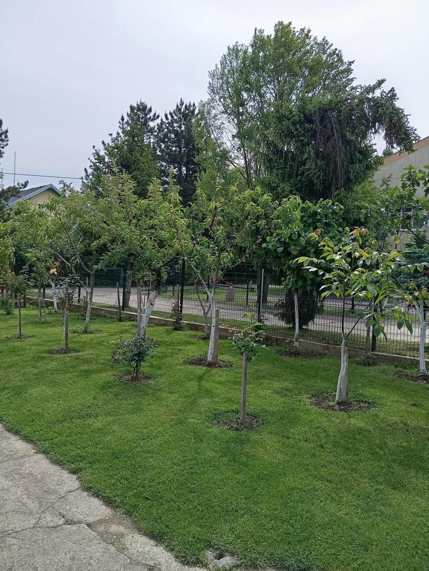 Milica Apartmani Vrdnik Zewnętrze zdjęcie